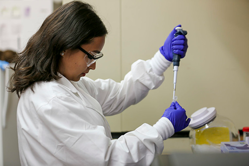 Student research using pipette