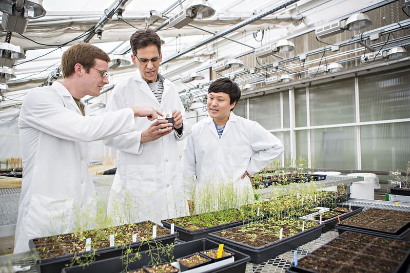 Scientists examine plants in rooftop greenhouse