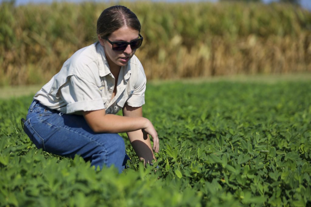 A light-skinned woman with light brown hair in a low ponytail wearing a tan button-up shirt and blue jeans crouches in a field of peanut plants