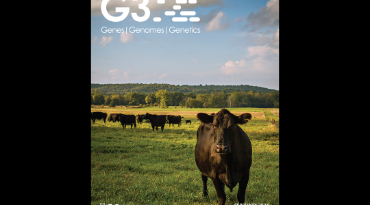 CAFNR faculty find genes mammals use to sense their environment, while creating hair shedding prediction tool for cattle farmers and ranchers (click to read)