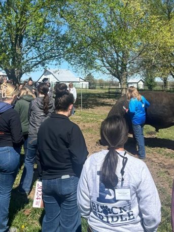 Students on a farm with a cow. 