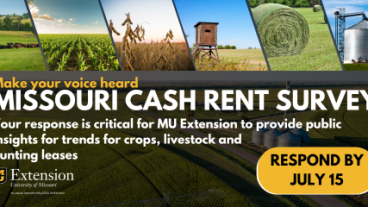 Graphic for MO Cash Rental Rate Survey 2024
