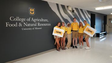 Six students pose for a photo in front of a tiger striped wall.