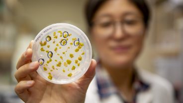 Soyon Park holds a petri dish with parasitic plants.