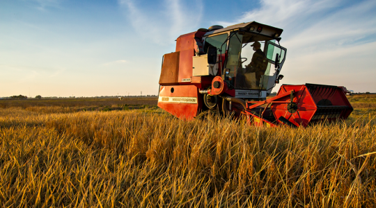 Missouri net farm income takes another dip in 2024 (click to read)