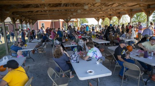 Photos from the Missouri Chestnut Roast Festival (click to read)