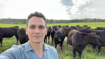 Thiago Martins with cows