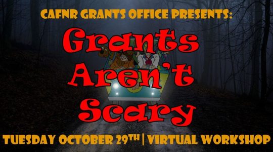 Virtual grants workshop offered Oct. 29 (click to read)