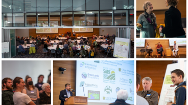 A collage of photos from the 2024 Agroforestry symposium