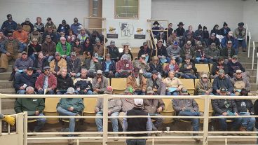 The crowd at F&T Livestock in Palmyra for the Dec. 14, 2024, Show-Me-Select heifer sale. Photo by Brenda Schreck.