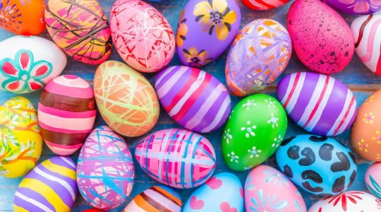 Mizzou experts share insight on egg prices and&nbsp;safety (click to read)