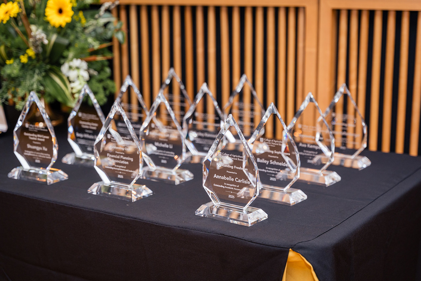 Celebration of Excellence 2025