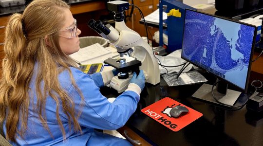 Graduate Student&nbsp;Spotlight (click to read)