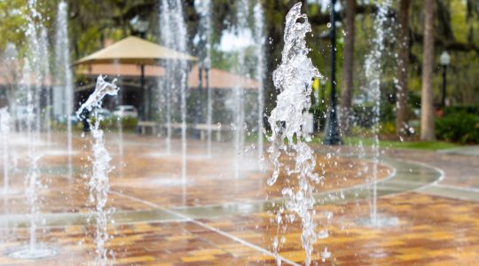 A walk in the park? Research takes a deeper look at urban green&nbsp;spaces (click to read)