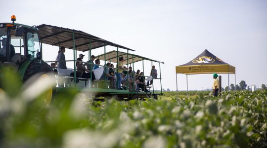 T.E. “Jake” Fisher Delta Research, Extension and Education Center to host third annual Ag Research&nbsp;Expo (click to read)