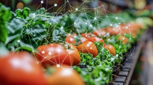 Blockchain technology could help build trust in&nbsp;restaurants (click to read)