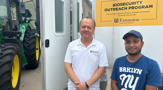 Mizzou researchers help farmers prevent and manage livestock&nbsp;losses (click to read)