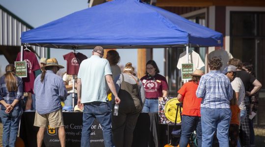 Celebrating Missouri’s perennial harvest at the Missouri Chestnut Roast&nbsp;Festival (click to read)