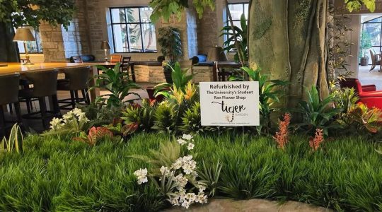 A jungle in the Rec: Tiger Garden brings nature&nbsp;indoors (click to read)