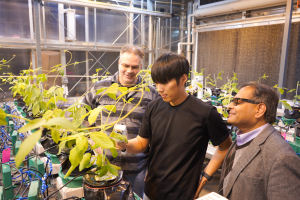 Group examines plants on devices in greenhouse.