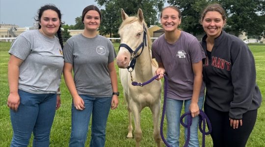 Holding down the farm over the&nbsp;holidays (click to read)