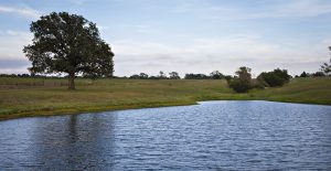 Pond at Thompson Research Farm.