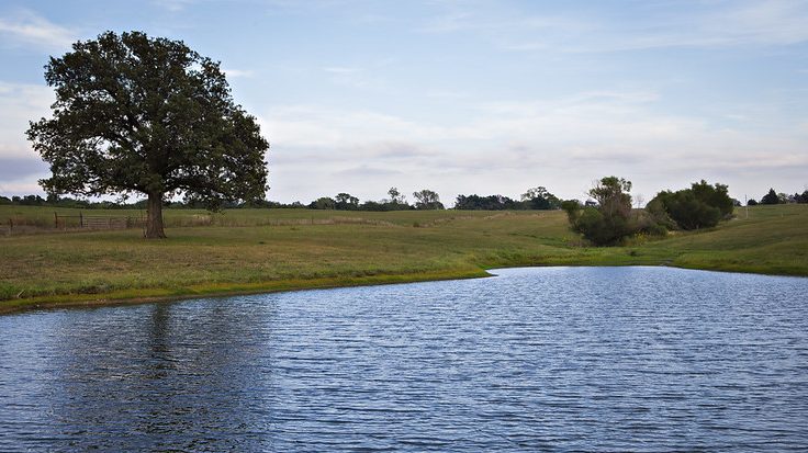 Pond at Thompson Research Farm.