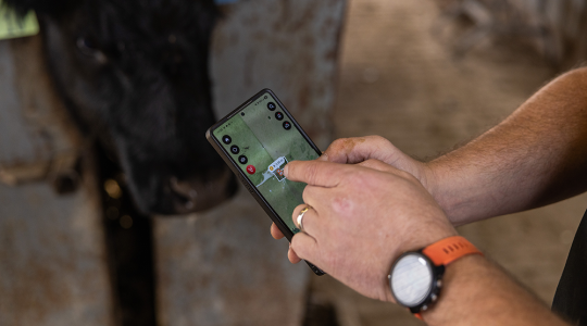 No fences needed: GPS collars show ‘virtual fencing’ is next frontier of livestock&nbsp;grazing (click to read)