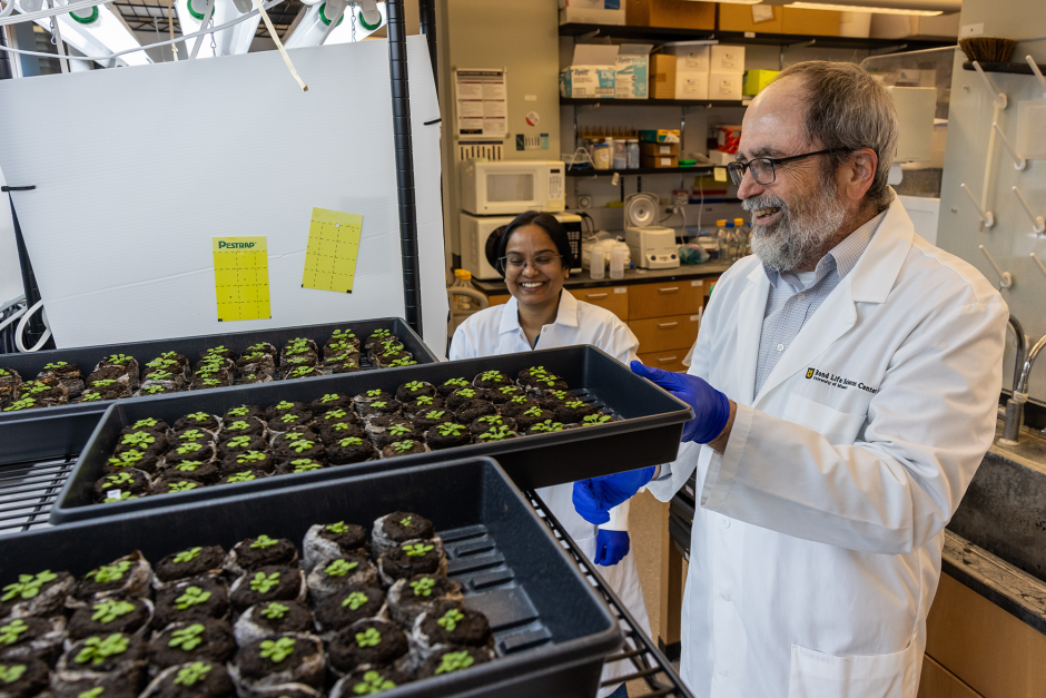 Ron Mittler and Ranjita Sinha smile as he moves a tray of small plants.