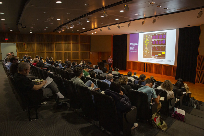 Attendees of 2025 IPG Symposium listen to a presentation in an auditorium.