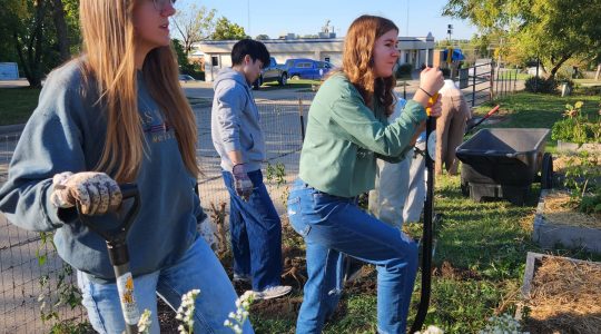 A voice for the environment: CAFNR student pushes for advocacy while preparing for career in environmental&nbsp;law  (click to read)