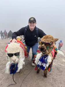 Harrison Luechtefeld smiles between two alpacas wearing sunglasses.