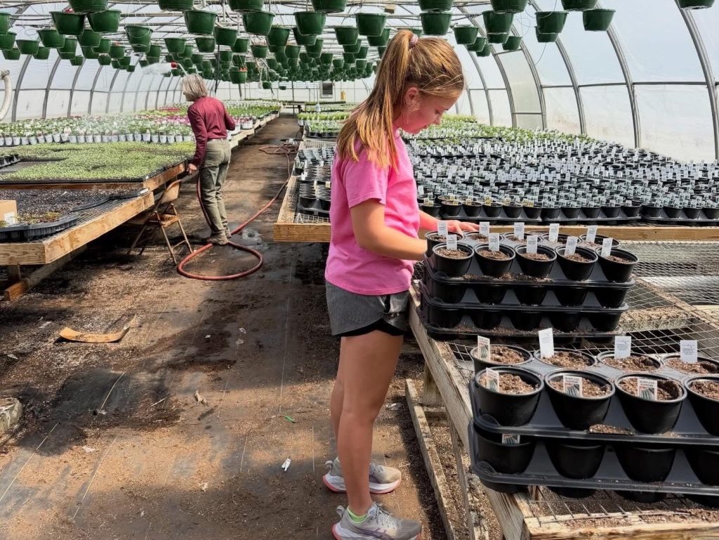 Abbie working in the greenhouse.