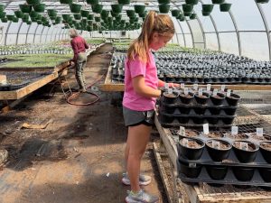 Abbie working in the greenhouse.