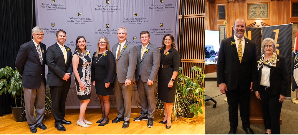A collage of images from two awards ceremonies.