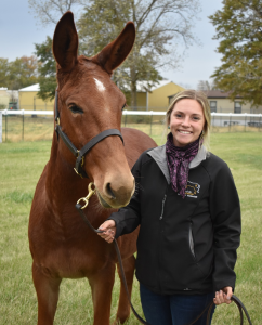 Mikaela Adams with a chestnut horse.