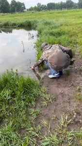 Reid Monsees reaching into pond.