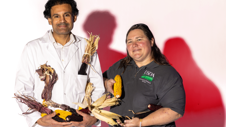 Two people holding corn