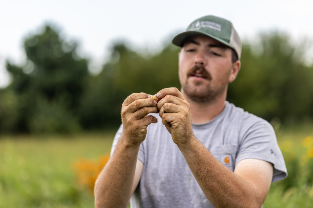William Lee holds a small cherry tomato in his hands.